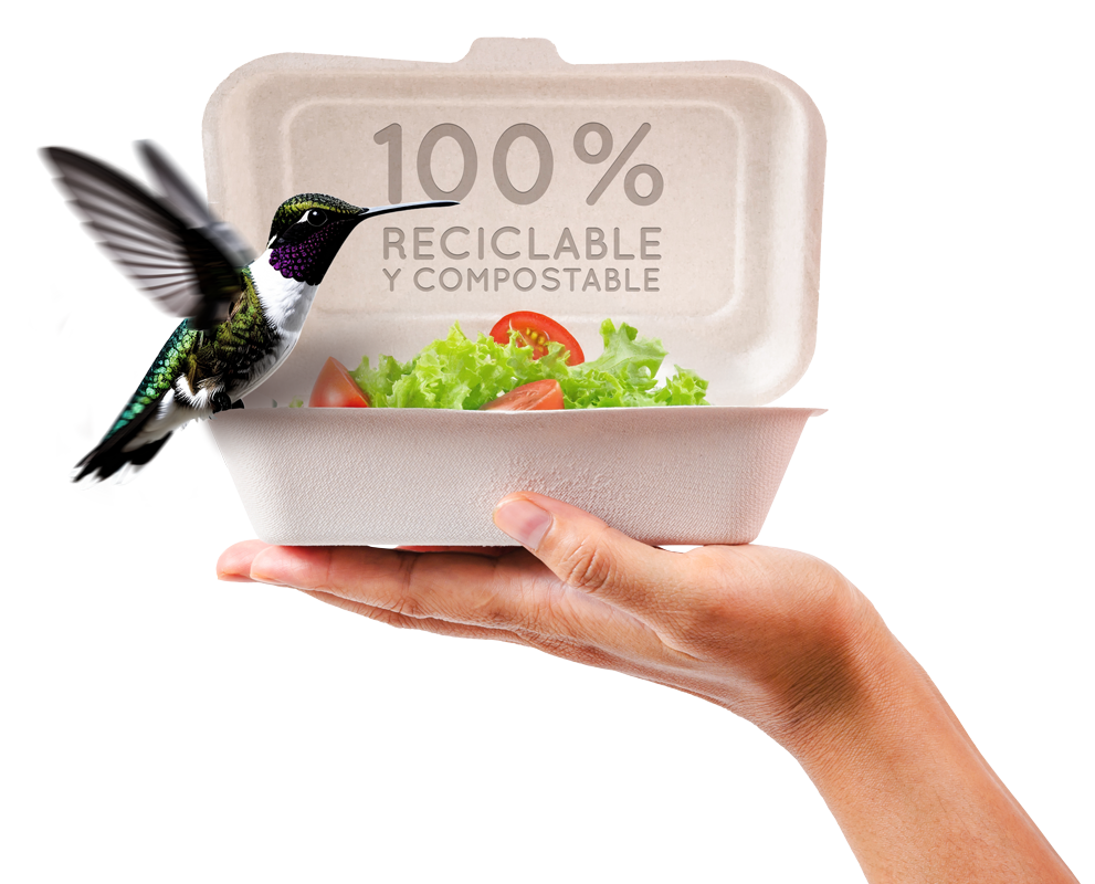 caja alimentos de bagazo de caña de azúcar con un pajaro posado