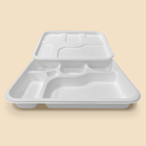 Bandeja desechable ecológica de bagazo de caña de azúcar , 5 compartimentos y tapa